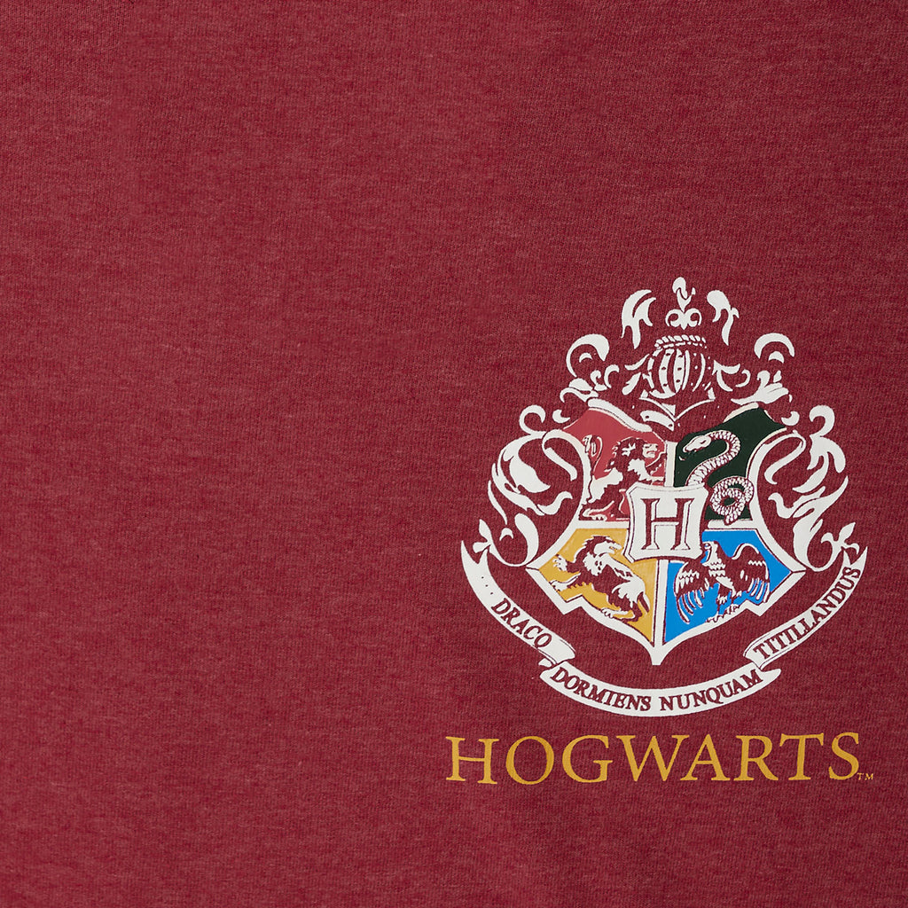 Productafbeelding Harry Potter Gryffindor Zoeker Oversized T-shirt Dames Rood
