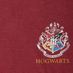 Productafbeelding Harry Potter Gryffindor Zoeker Oversized T-shirt Dames Rood