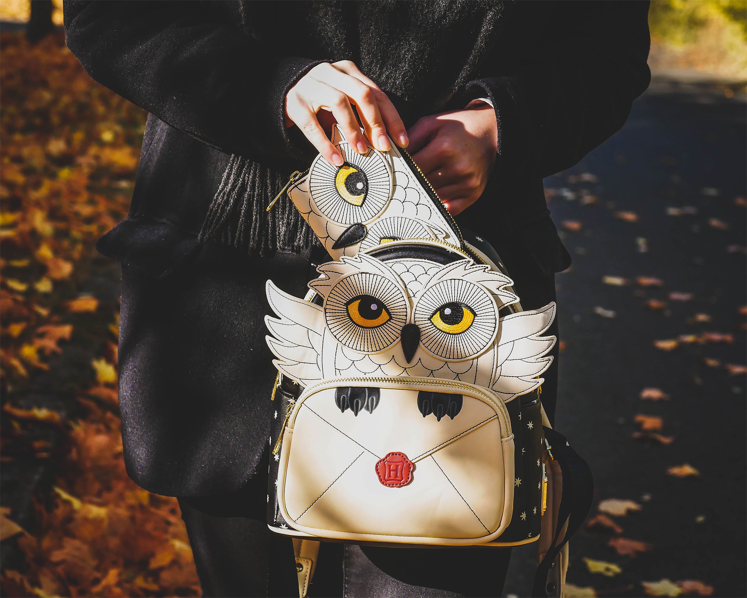 Produktbild Harry Potter - Hedwig mit Hogwarts Brief Geldbörse