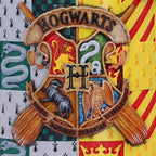 Productafbeelding Harry Potter - Deluxe Beker met Gouden Snaai