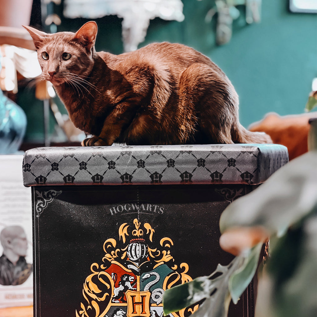 Productafbeelding Harry Potter - Hogwarts Kruk met opbergruimte