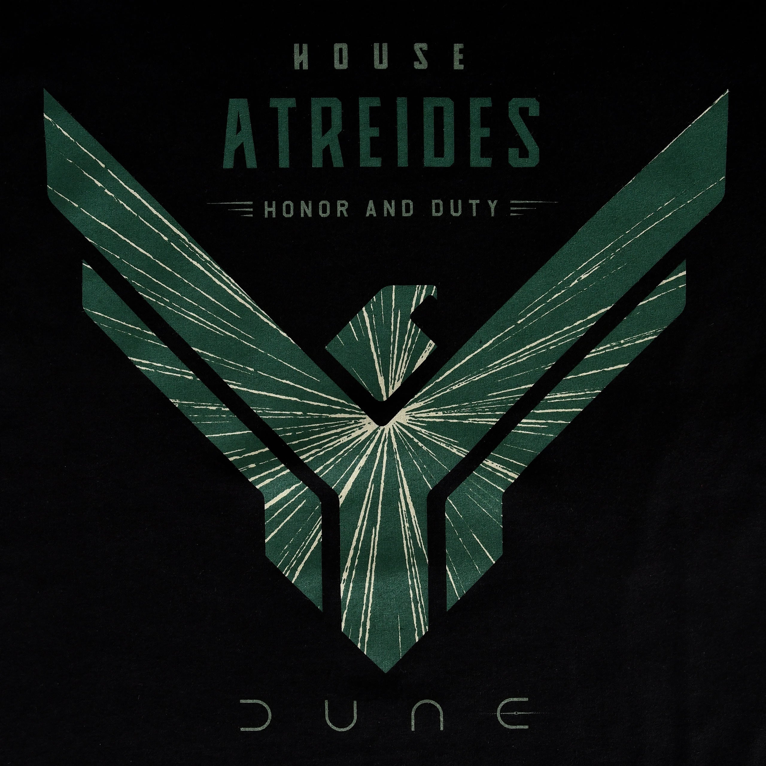 Image produit Dune - T-shirt Maison Atreides noir