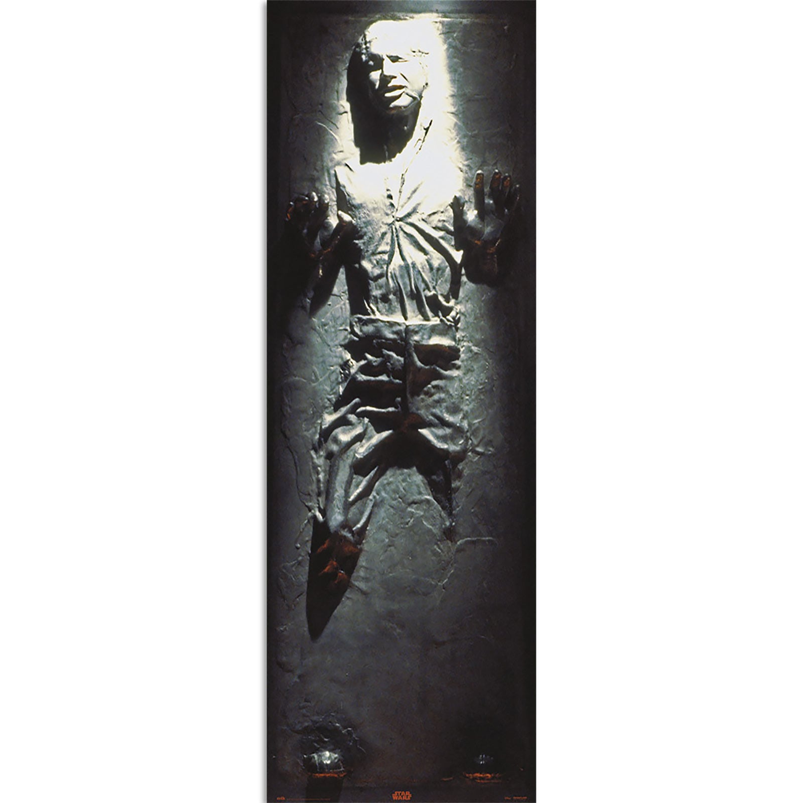 Produktbild Star Wars - Han Solo in Carbonite Türposter