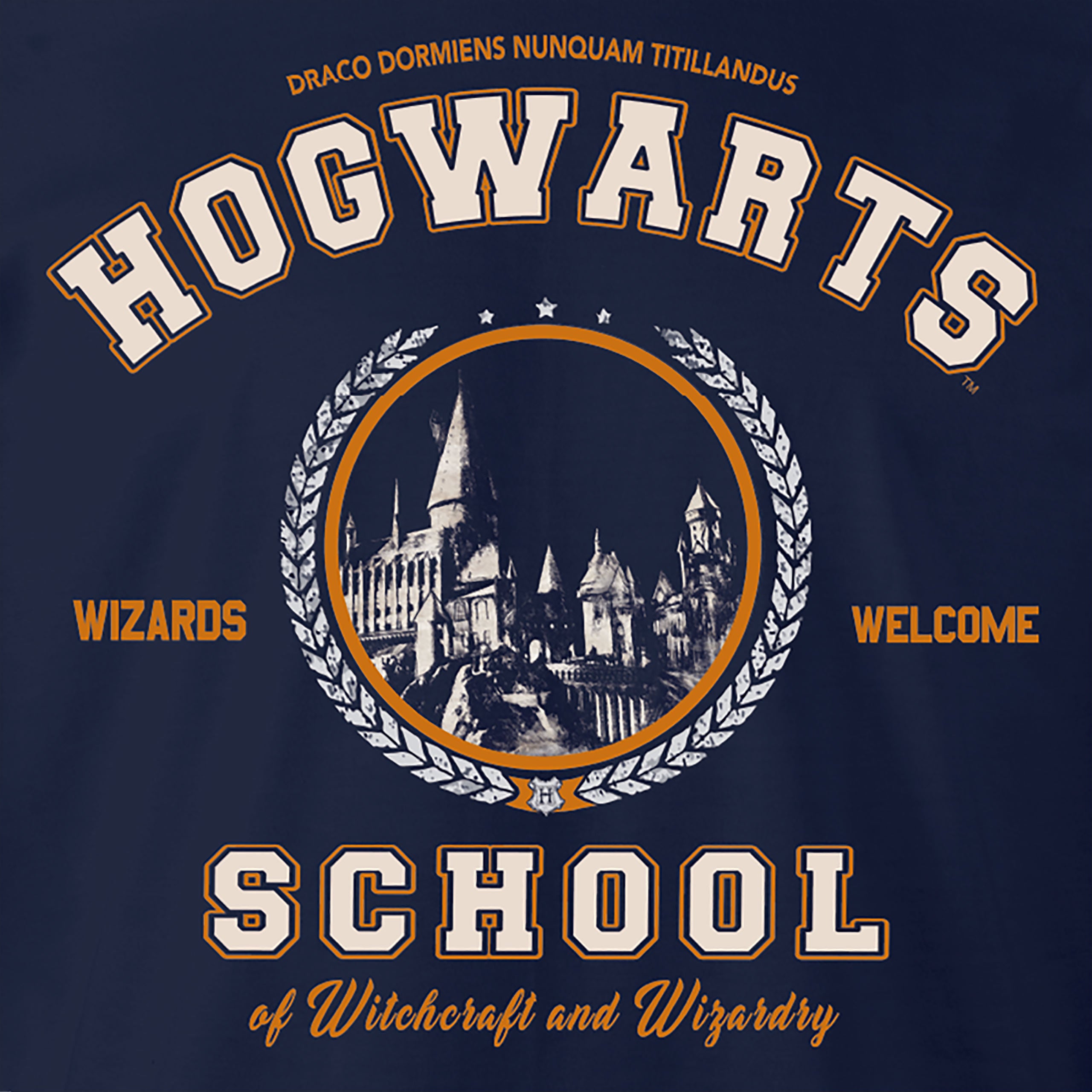 Produktbild Harry Potter - Hogwarts School T-Shirt blau