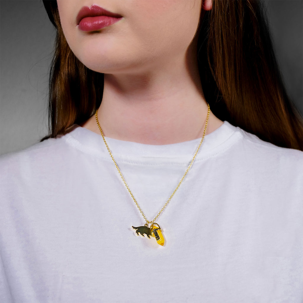 Productafbeelding Harry Potter - Huffelpuf Wapen Ketting