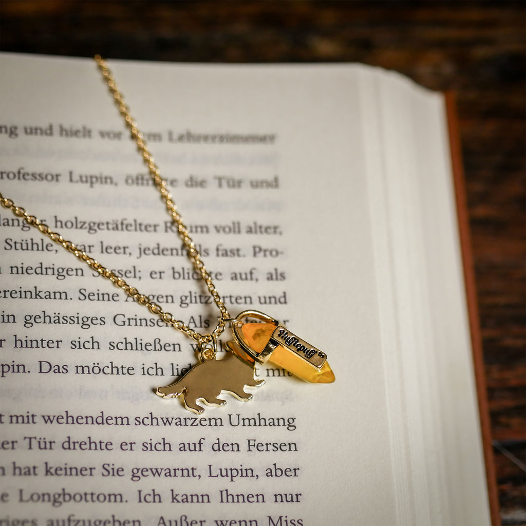 Productafbeelding Harry Potter - Huffelpuf Wapen Ketting