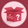Productafbeelding Verrassingsdoos voor Harry Potter fans