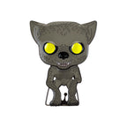 Image produit Harry Potter - Remus Lupin Funko Pop Pin 9 cm