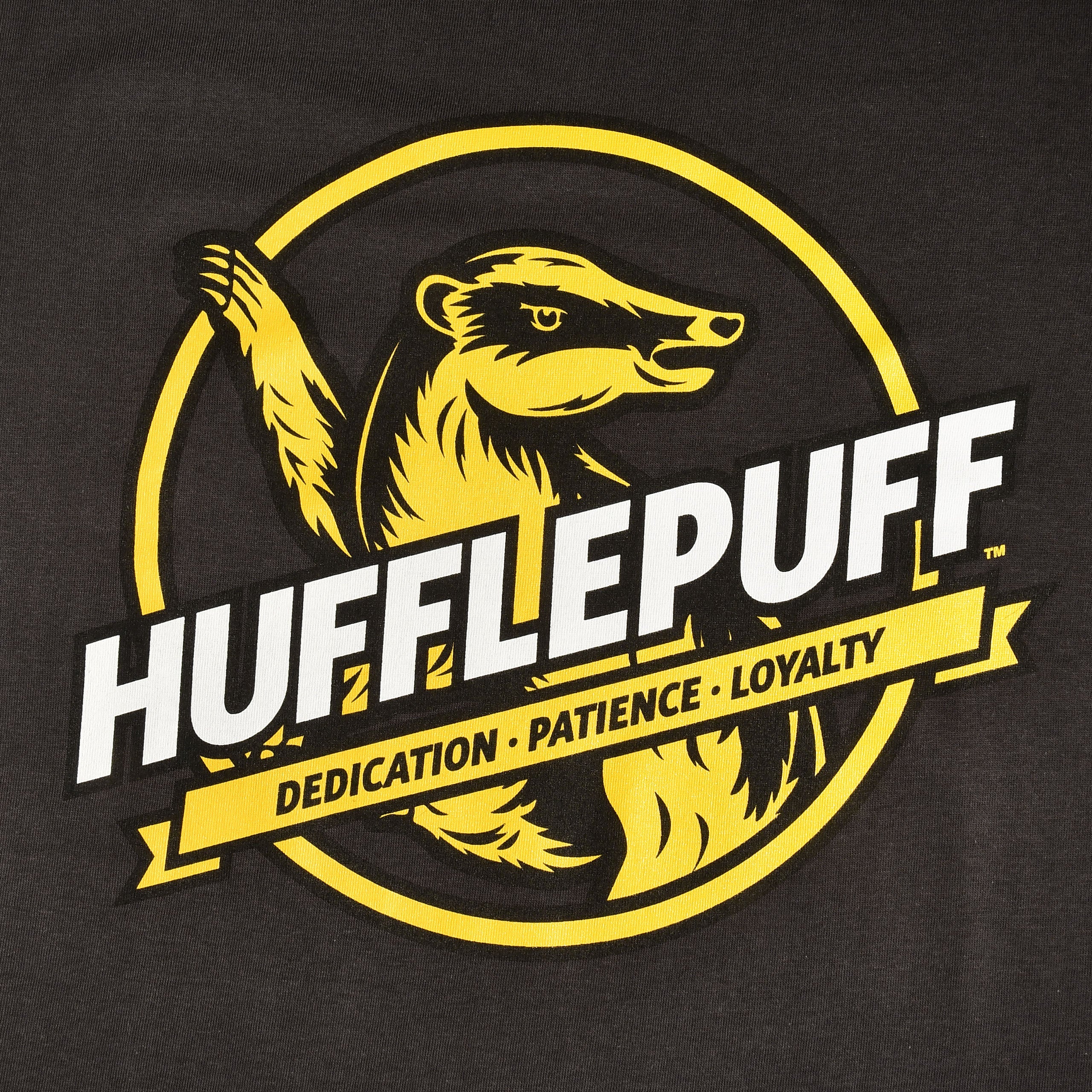 Produktbild Hufflepuff House Values T-Shirt grau - Harry Potter