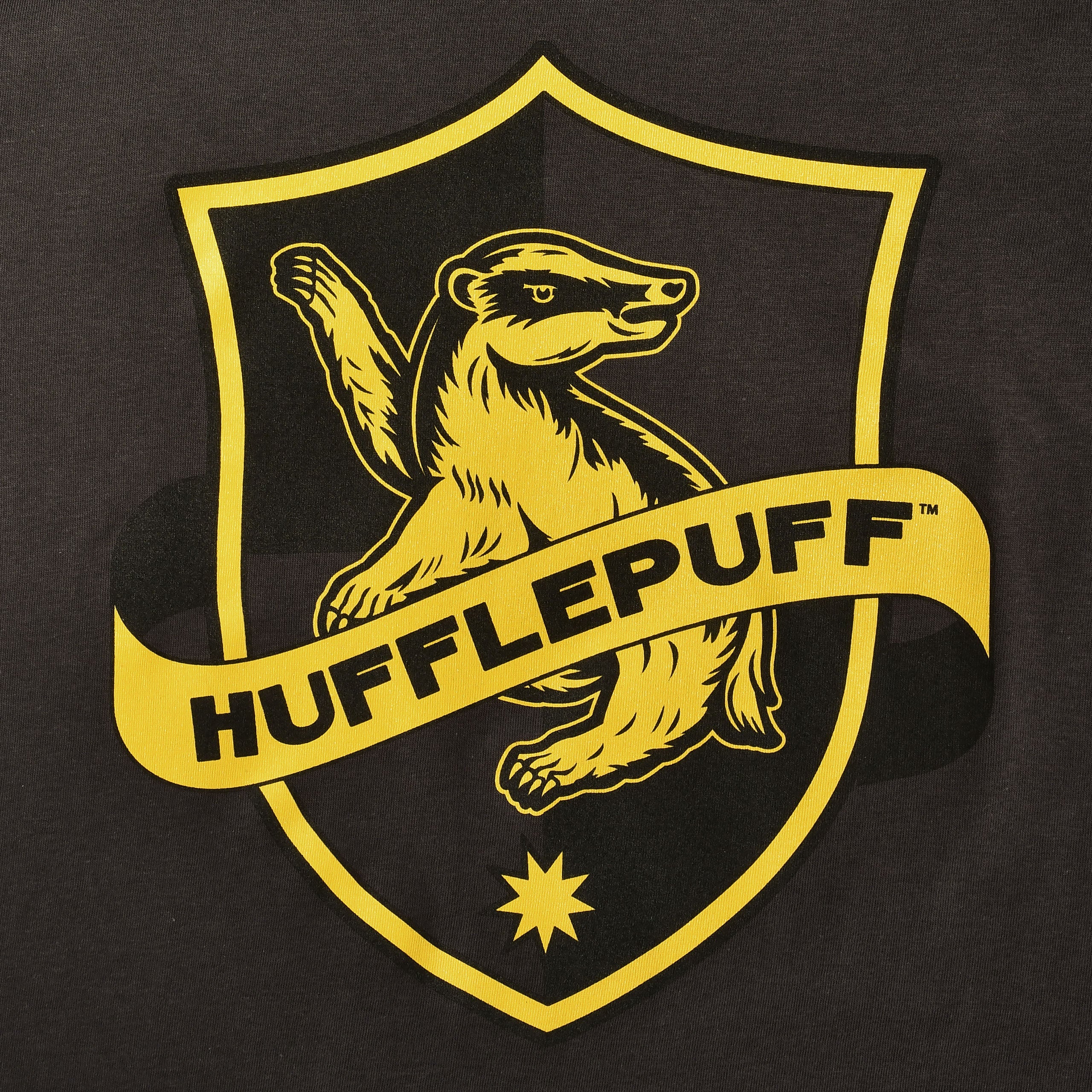 Image produit T-shirt Logo Hufflepuff Gris - Harry Potter