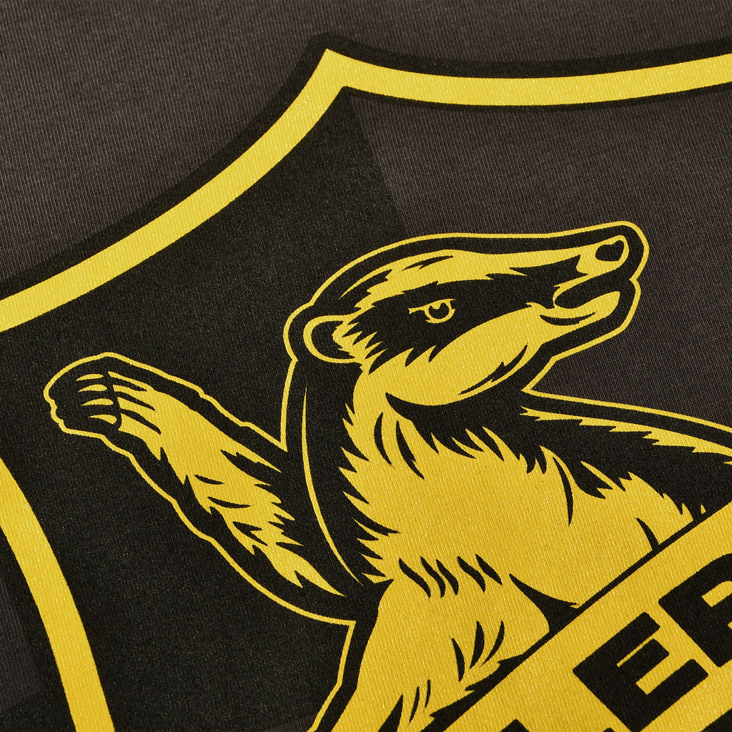 Image produit T-shirt Logo Hufflepuff Gris - Harry Potter