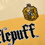 Productafbeelding Harry Potter - Team Huffelpuf Block Hoodie
