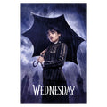 Productafbeelding Wednesday - Downpour Teaser Maxi Poster