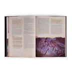 Productafbeelding Dungeons & Dragons - Fizban's Schatkamer van Draken