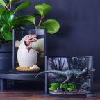 Image produit Jurassic Park - Figurine Diorama d'Oeuf de Bébé Vélociraptor