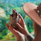 Image produit Jurassic Park - Figurine Diorama d'Oeuf de Bébé Vélociraptor