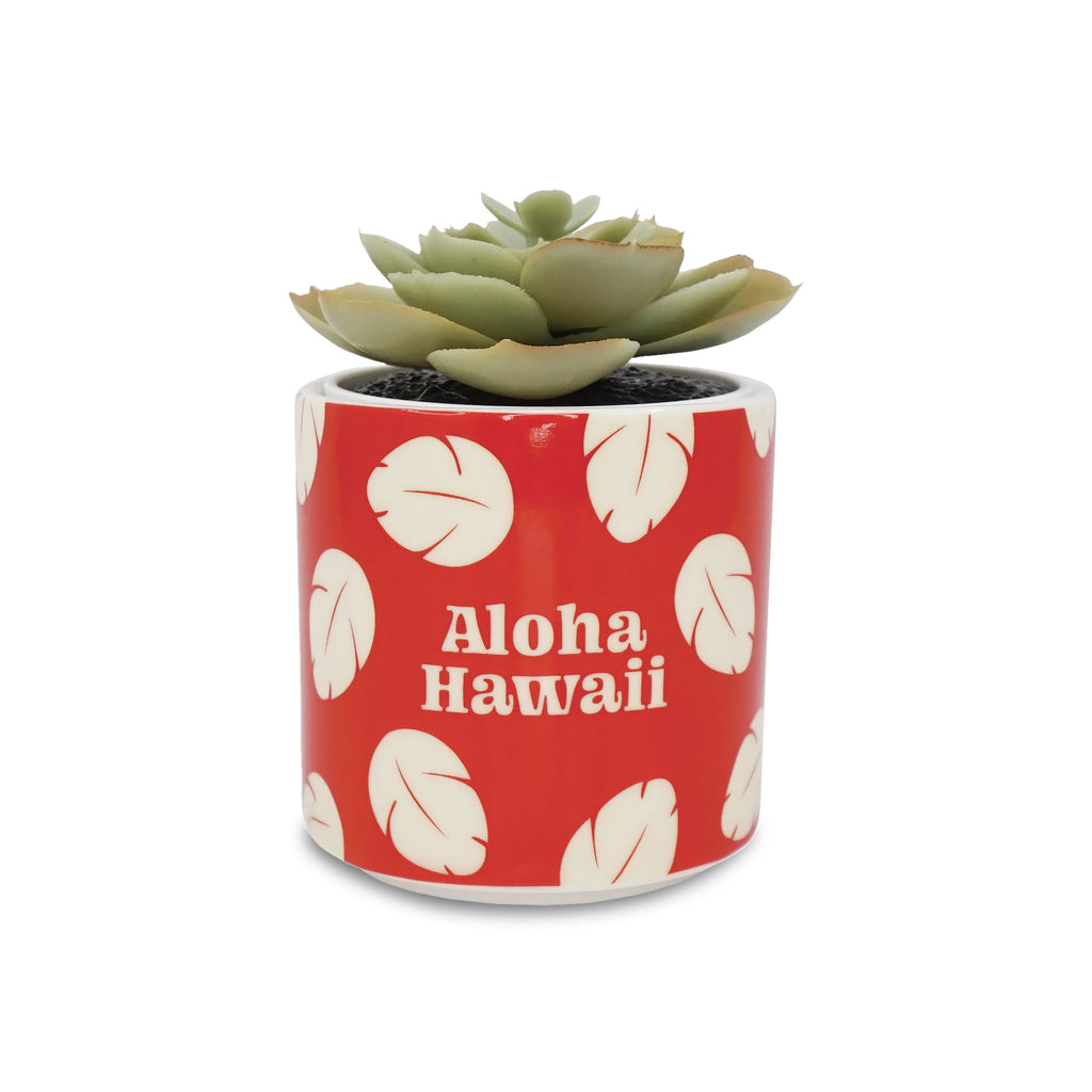 Productafbeelding Lilo & Stitch - Aloha Hawaii Mini Bloempot