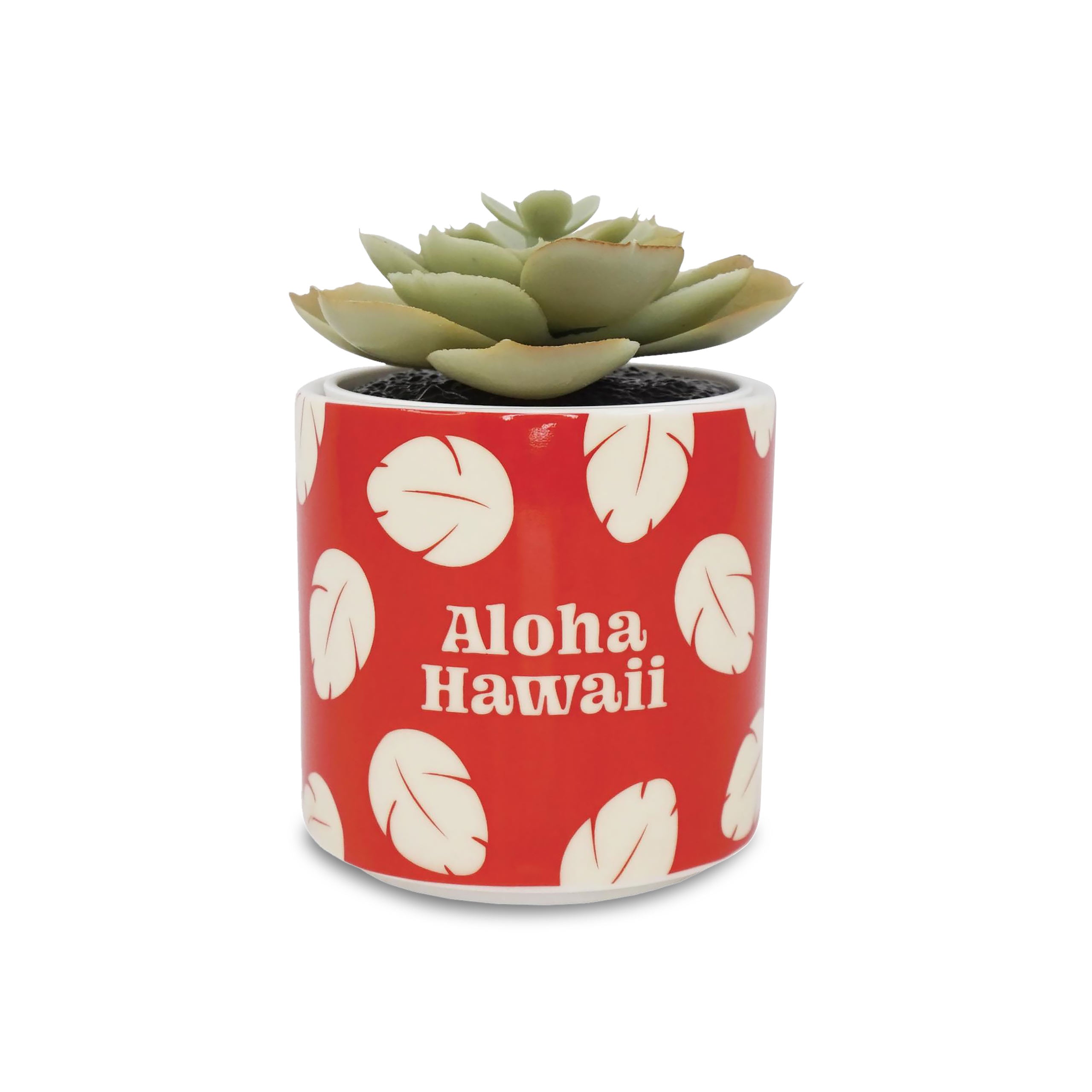 Productafbeelding Lilo & Stitch - Aloha Hawaii Mini Bloempot