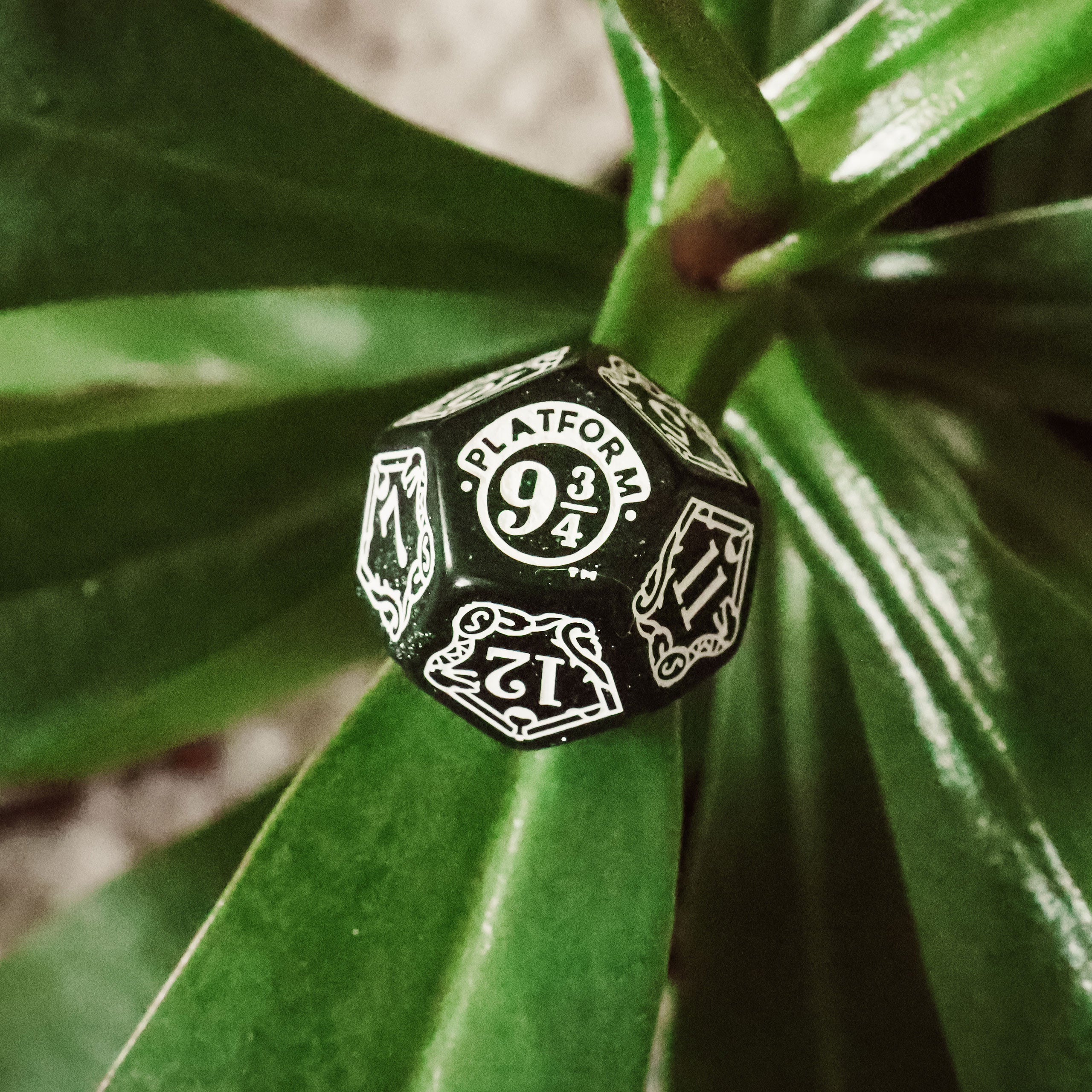 Produktbild Harry Potter - Slytherin RPG Würfel Set 7tlg grün