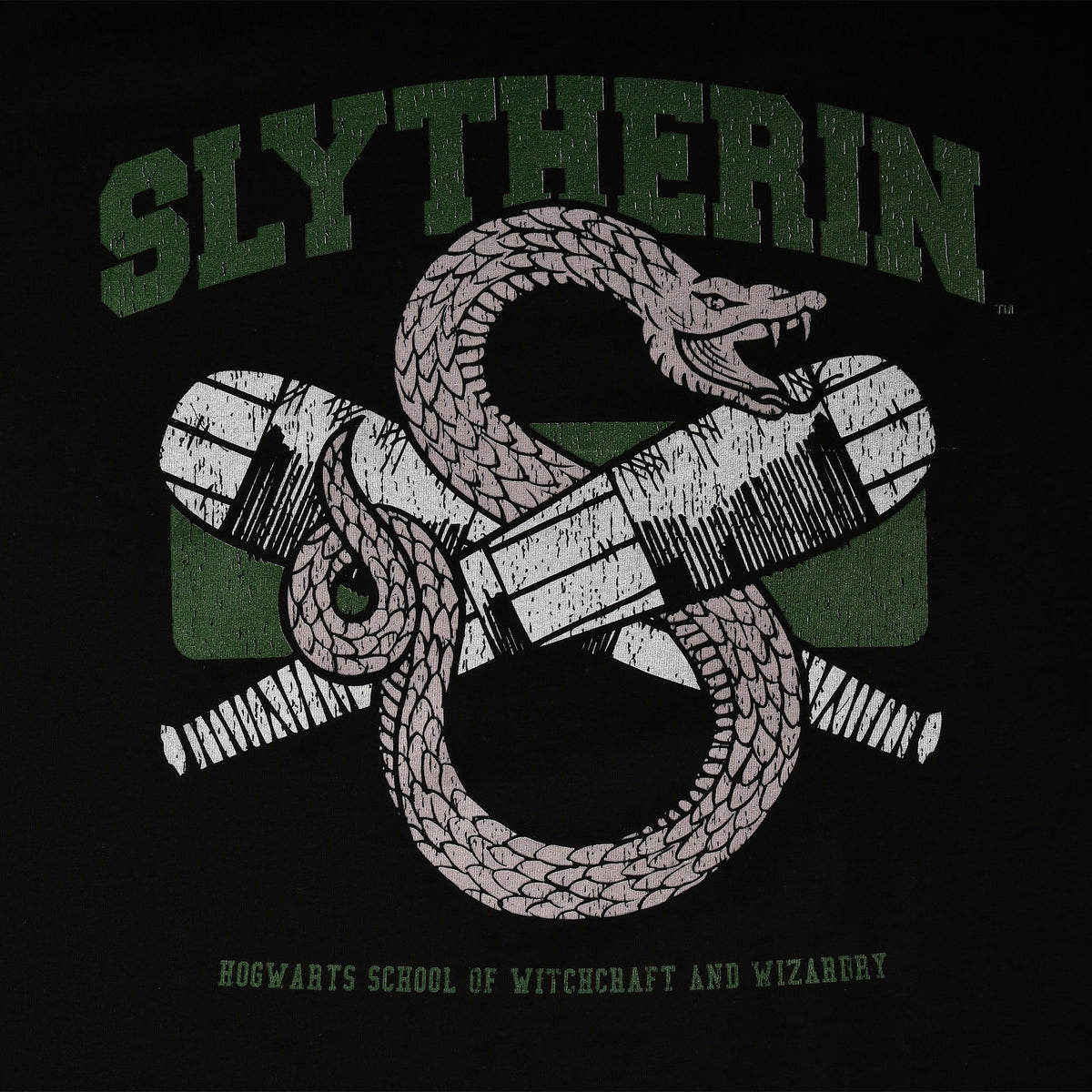 Produktbild Slytherin Quidditch College T-Shirt schwarz - Harry Potter