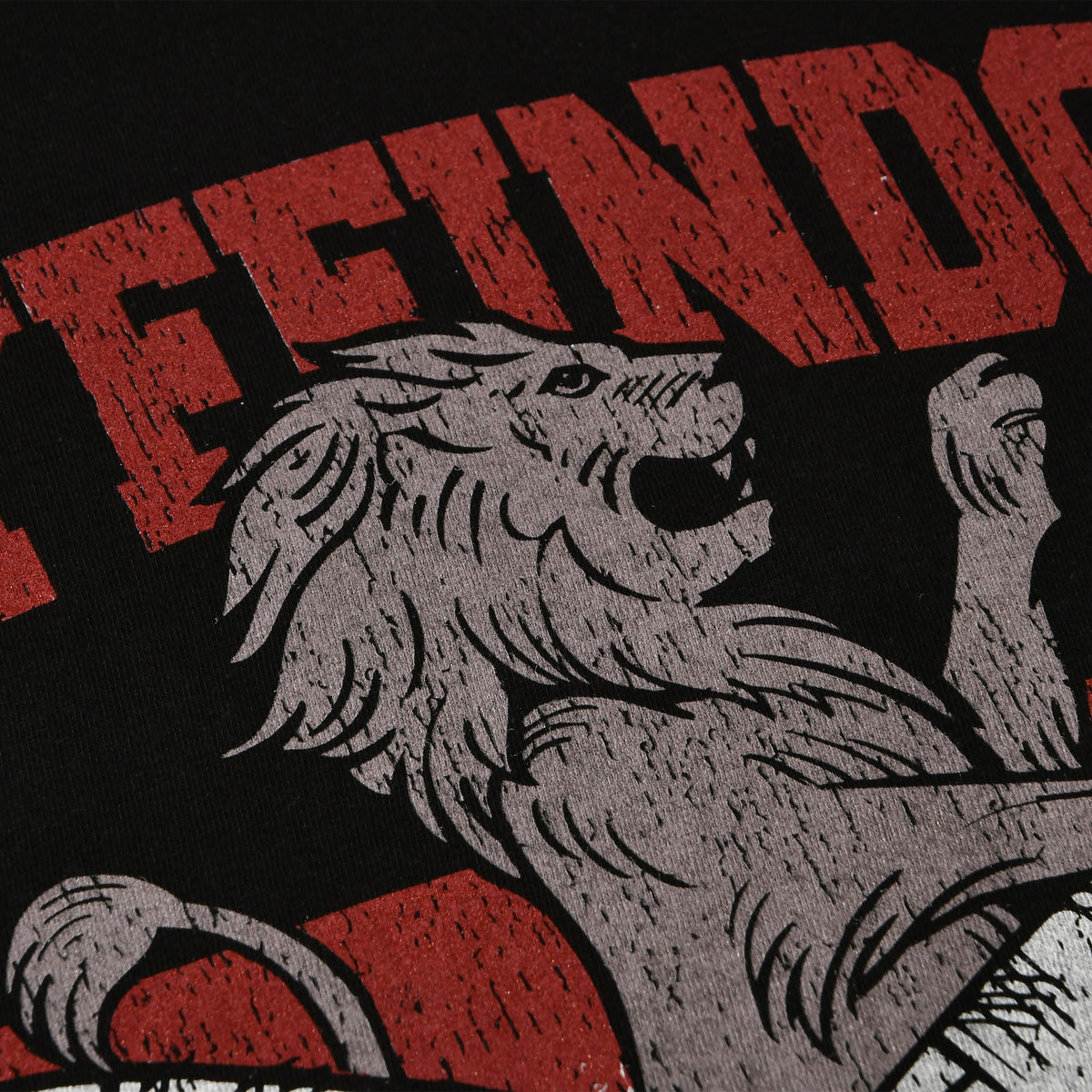 Image produit T-shirt de collège de Quidditch Gryffondor noir - Harry Potter