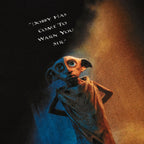 Produktbild Harry Potter - Dobby Poster T-Shirt schwarz