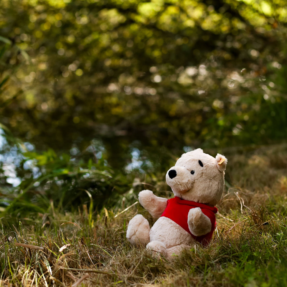 Produktbild Winnie Puuh - Sammler Figur von Steiff