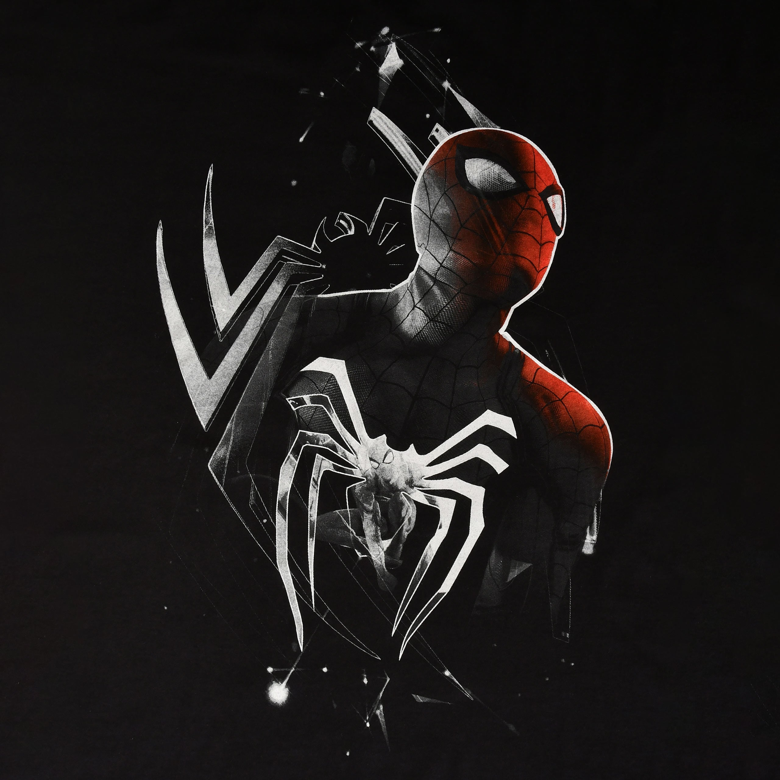 Productafbeelding Spider-Man - Dimension T-Shirt Zwart