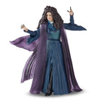 Image produit Wanda Vision - Agatha Harkness Marvel Legends Series Figurine d'action