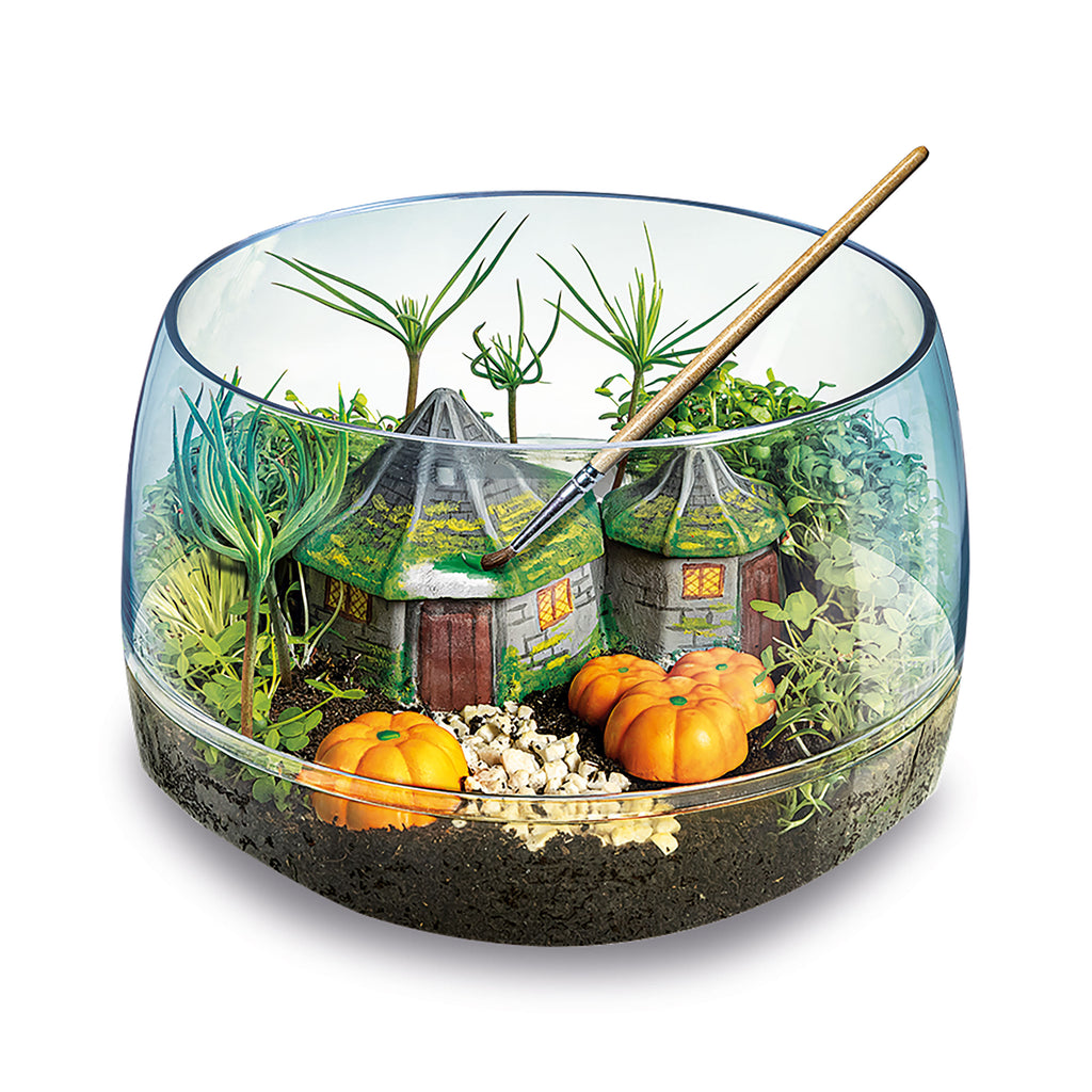 Image produit Harry Potter - Terrarium de la cabane de Hagrid