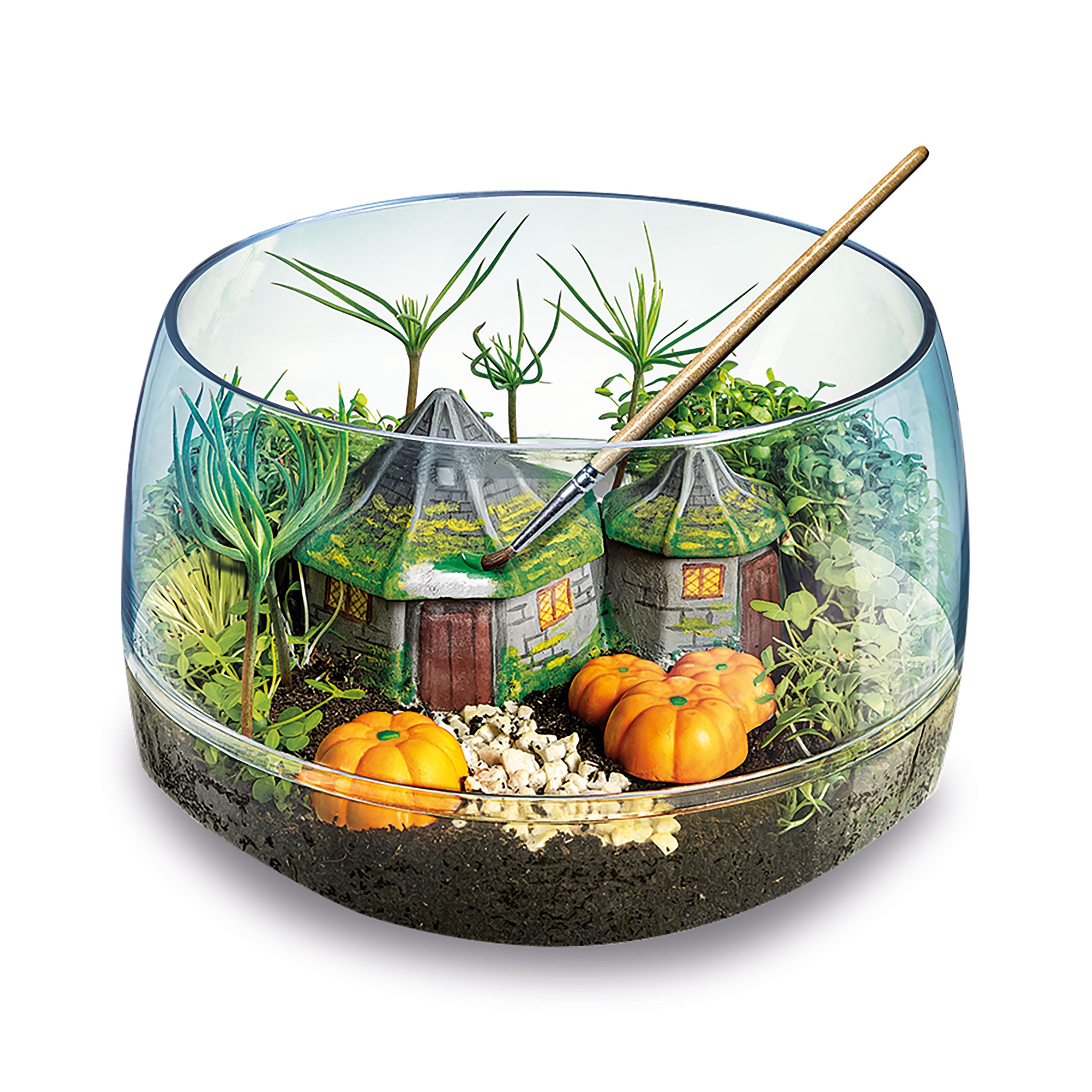 Image produit Harry Potter - Terrarium de la cabane de Hagrid