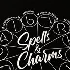 Produktbild Harry Potter - Spells And Charms T-Shirt schwarz