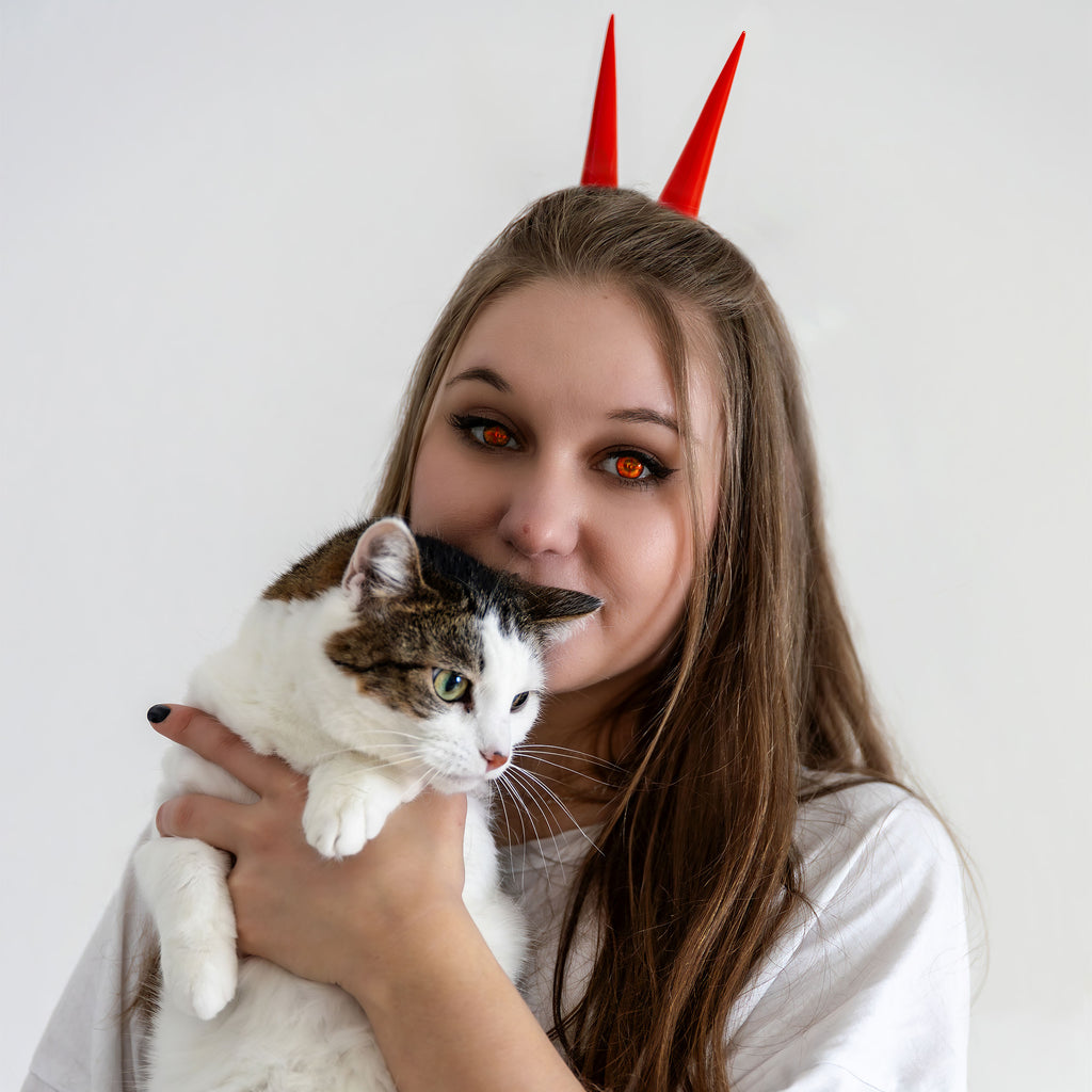 Productafbeelding Chainsaw Man - Power Haarclips Set van 2