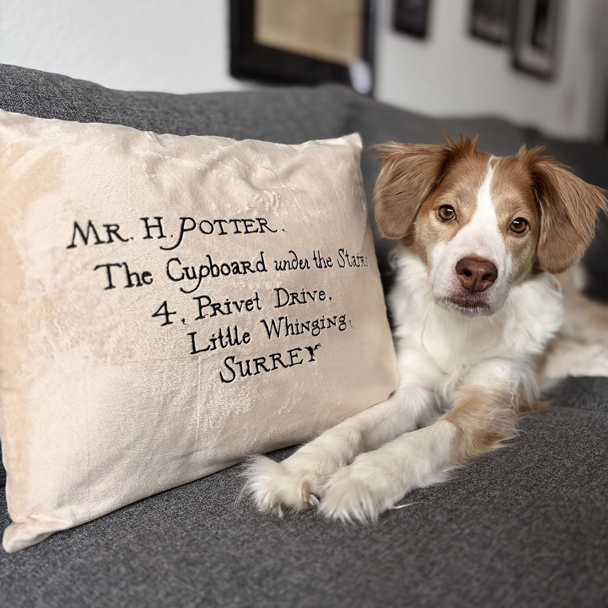 Image produit Harry Potter - Coussin Lettre de Poudlard