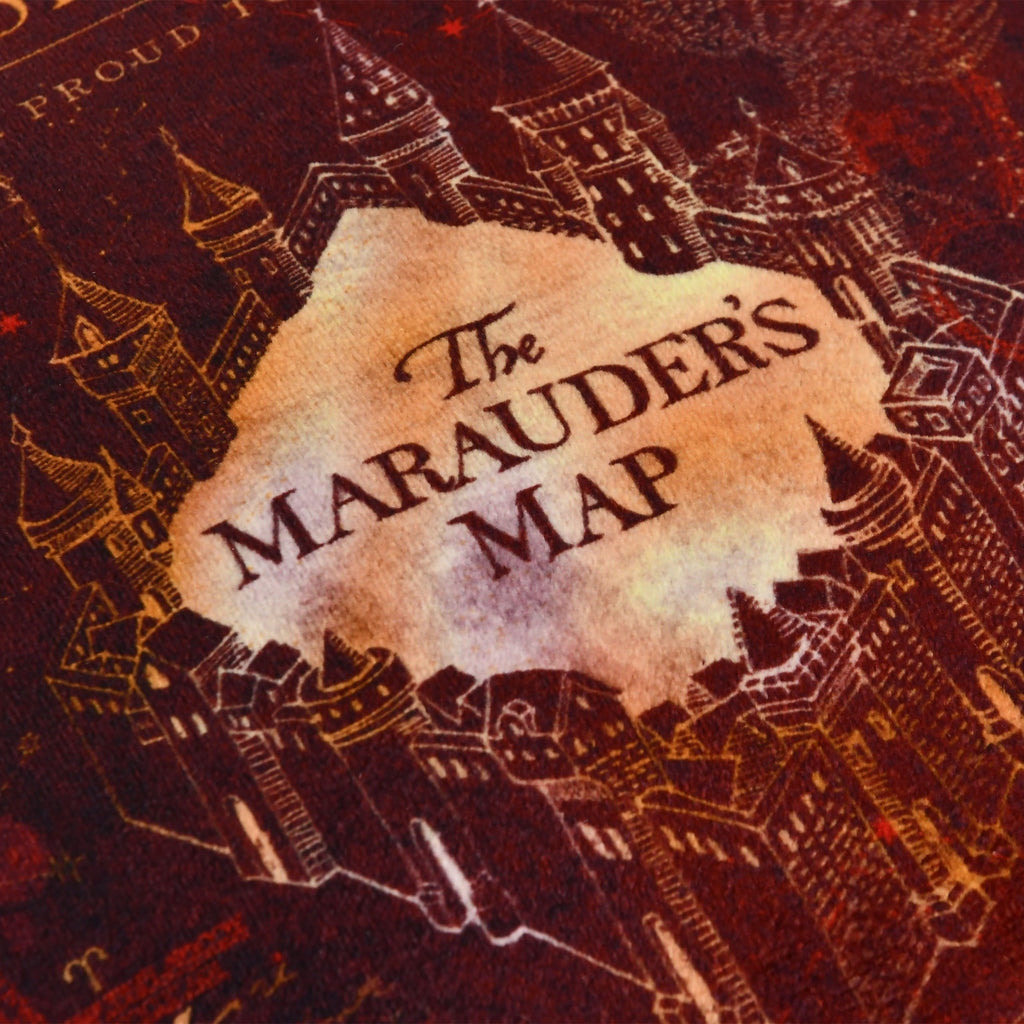 Productafbeelding Harry Potter - Sluipwegwijzer Kussen