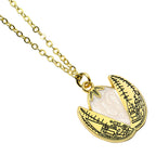 Productafbeelding Harry Potter - De Gouden Ei Cadeaubox met Ketting