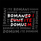 Productafbeelding Romani Ite Domum T-Shirt voor Monty Python Fans