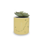 Image produit Winnie l'Ourson - Mini Pot de Fleur