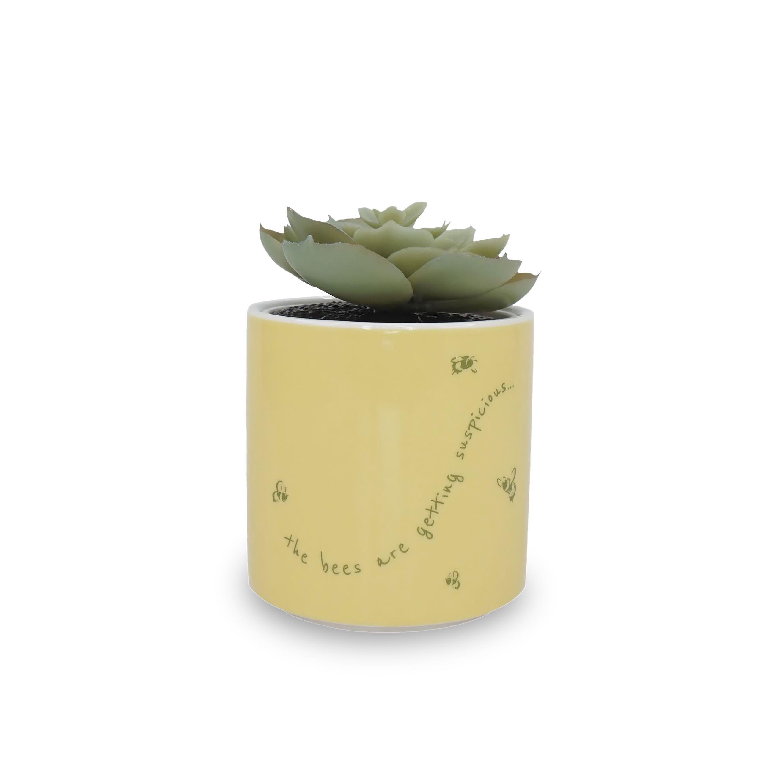 Image produit Winnie l'Ourson - Mini Pot de Fleur