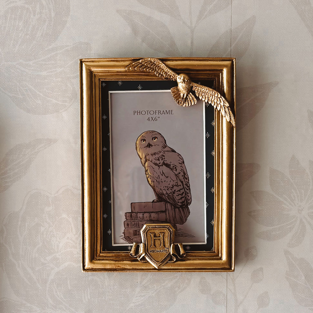Productafbeelding Harry Potter - Hedwig Fotolijst