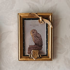 Productafbeelding Harry Potter - Hedwig Fotolijst
