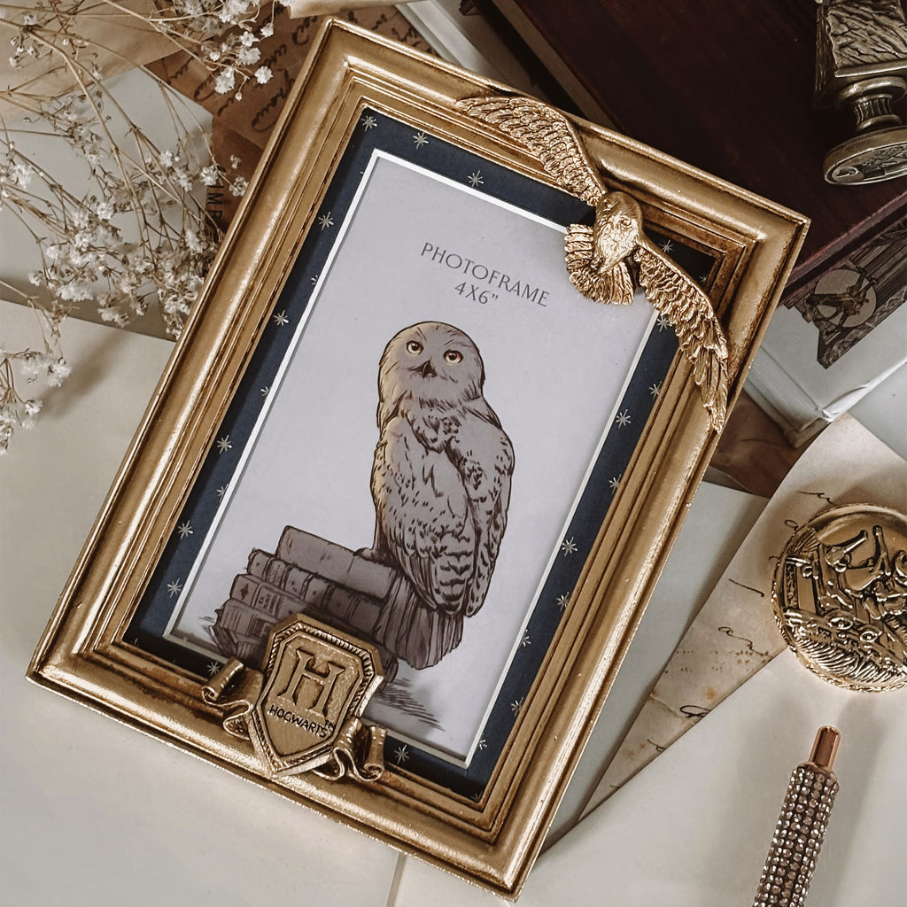 Productafbeelding Harry Potter - Hedwig Fotolijst