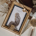 Productafbeelding Harry Potter - Hedwig Fotolijst