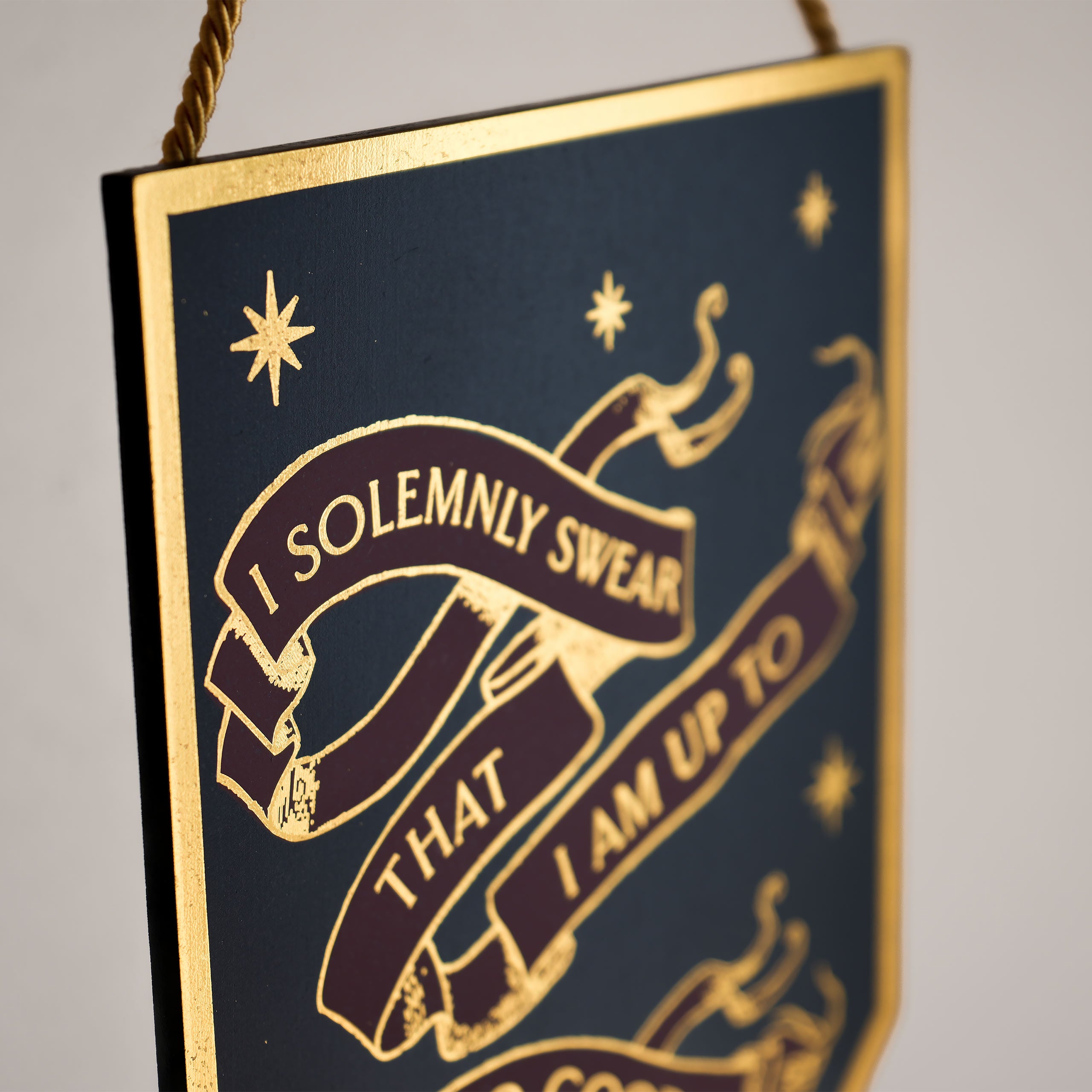 Image produit Harry Potter - Plaque murale en bois Alumni 'I Solemnly Swear'