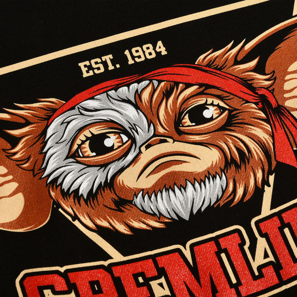 Productafbeelding Gremlins Est. 1984 zwart T-shirt