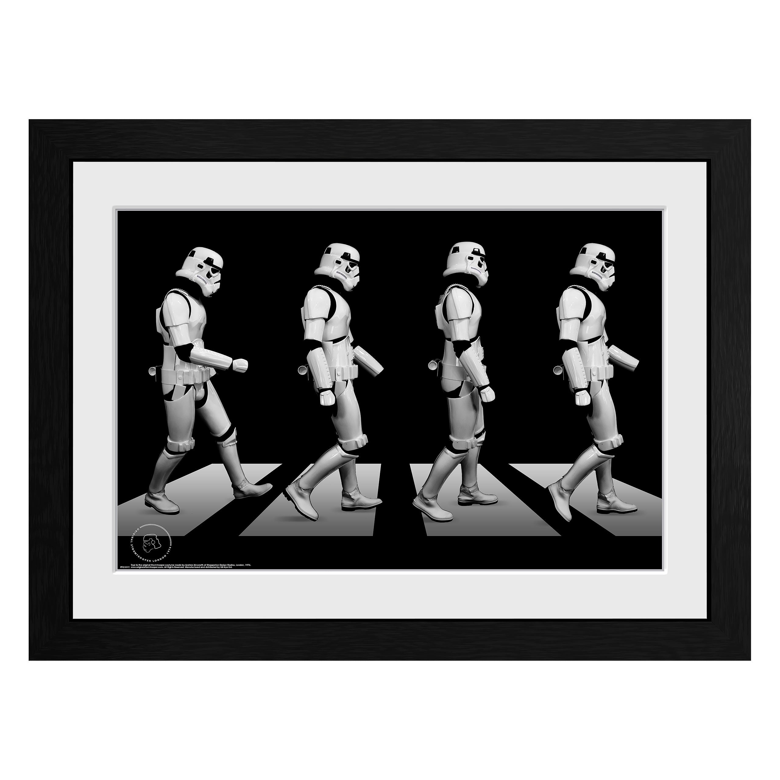 Productafbeelding Originele Stormtrooper - Crossing Wandbeeld