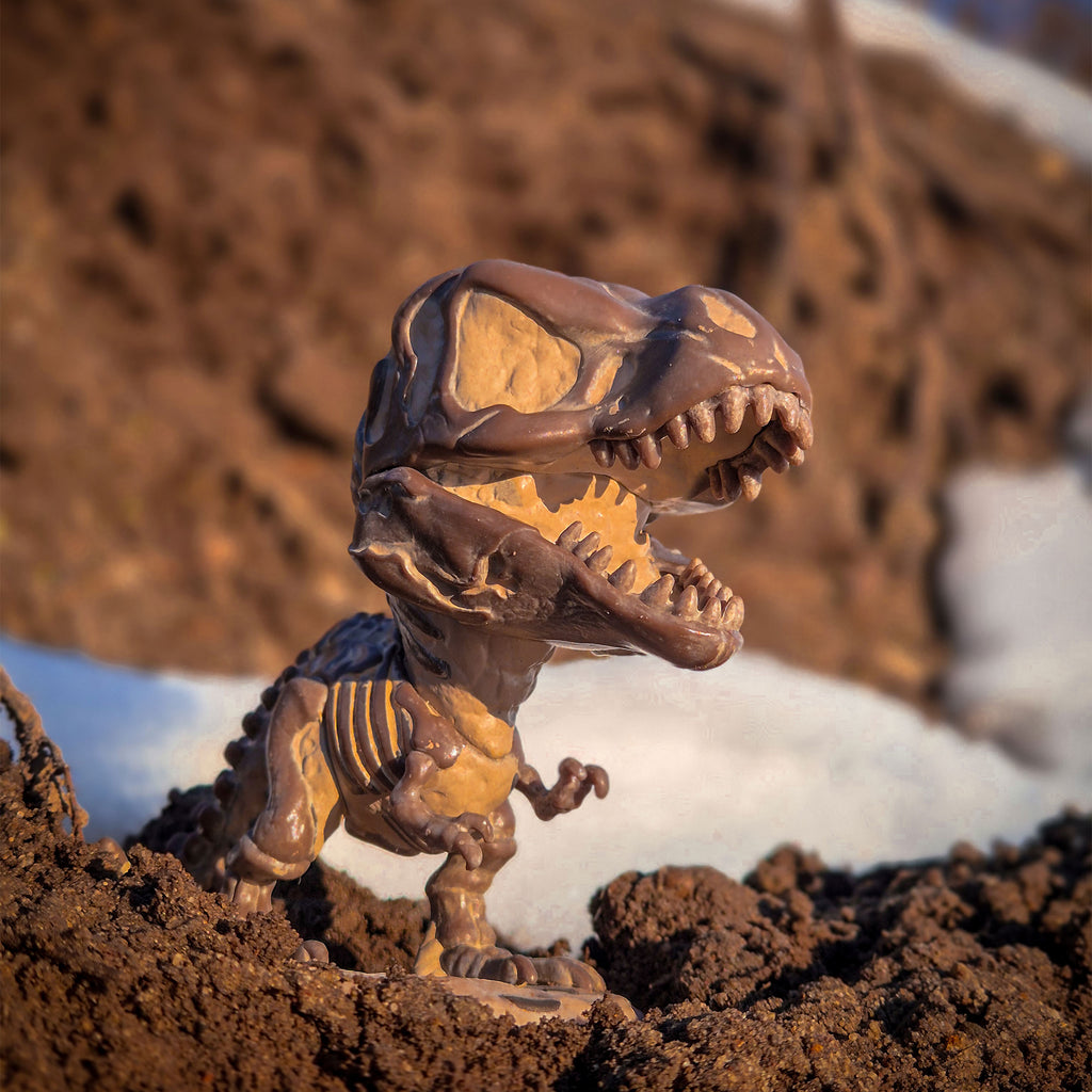 Productafbeelding Jurassic World - Fossiele Tyrannosaurus Funko Pop Figuur