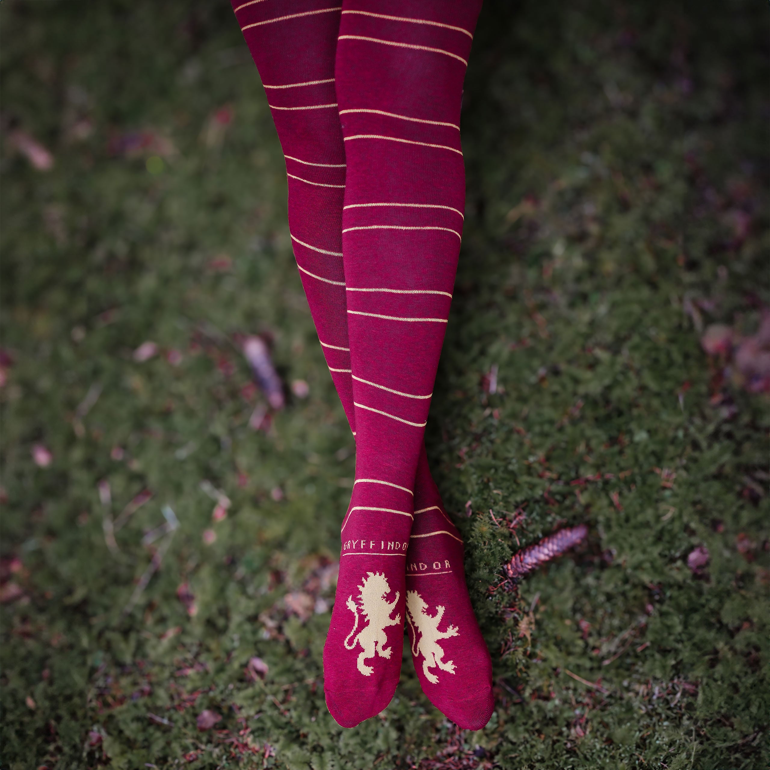 Productafbeelding Harry Potter - Griffoendor Overknee Sokken 2-Pack