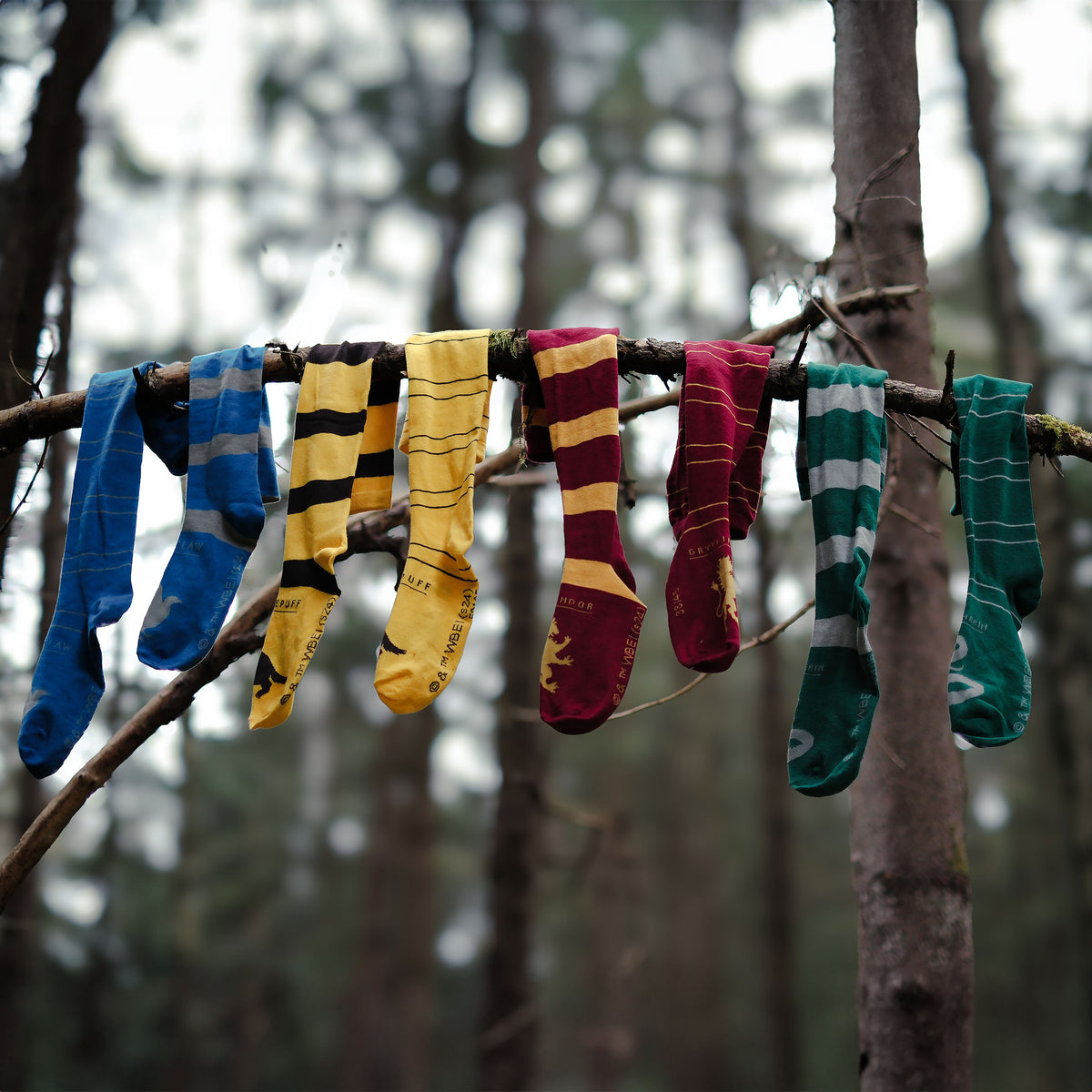 Image produit Harry Potter - Chaussettes hautes Poufsouffle 2 paires