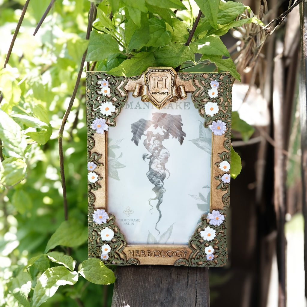 Image produit Harry Potter - Cadre photo Herboristerie